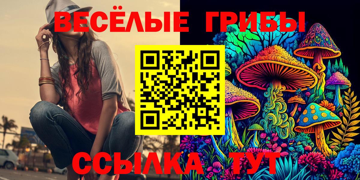 Кириши  Галлюциногенные грибы прущие грибы  Вход с VPN  Псилоцибиновые грибы мицелий 